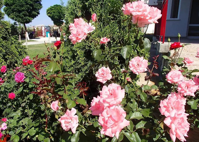 Grand Noks アパート スヴェティ・ヴラス