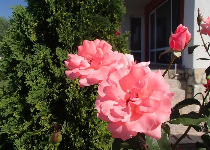 Grand Noks アパート *